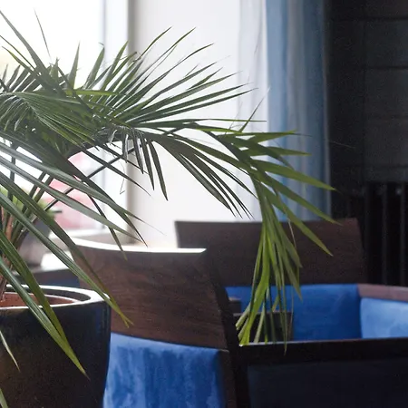 Отель Ter Streep 3*