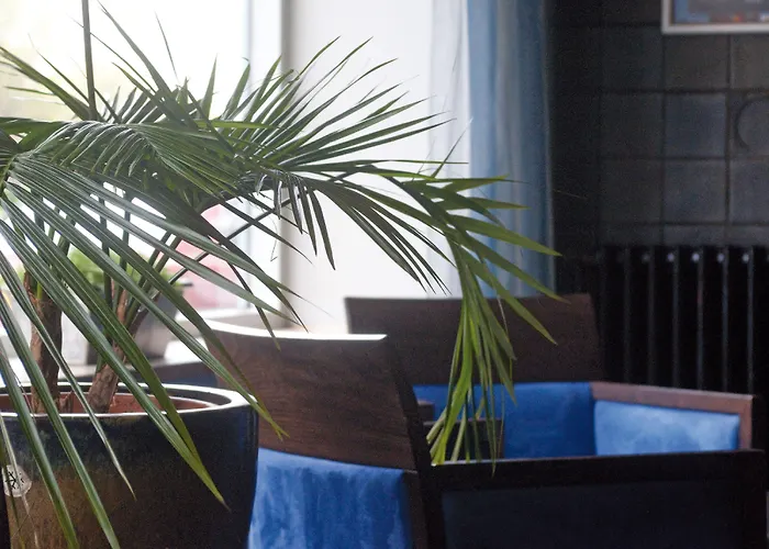 Отель Ter Streep 3*