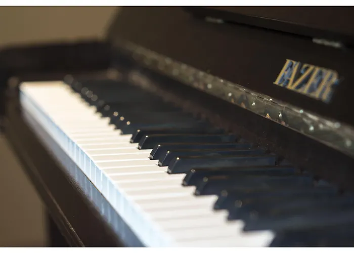 Отель Ter Streep Остенде